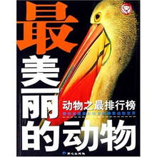 动物之最排行榜：最美丽的动物