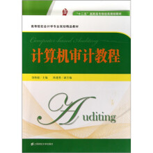 高等院校会计学专业规划精品教材：计算机审计教程