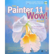 THE PAINTER 11 WOW！BOOK（附光盘1张）