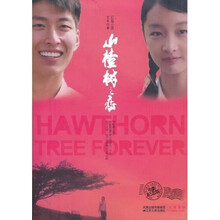 山楂树之恋(电影纪念版)