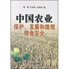 中国农业：保护、发展和微观粮食安全