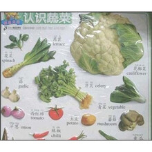 早期启蒙双语立体挂图：认识蔬菜（挂图大王）