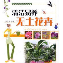 清洁易养无土花卉