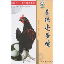 养绿壳蛋鸡