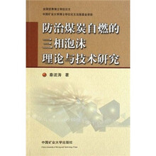 防治煤炭自燃的三相泡沫理论与技术研究