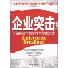 企业突击：世纪危机下的生存与发展之道