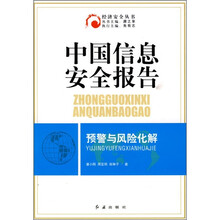 中国信息安全报告:预警与风险化解