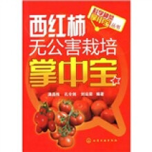 科学种菜掌中宝丛书：西红柿无公害栽培掌中宝