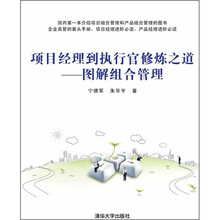 项目经理到执行官修炼之道：图解组合管理