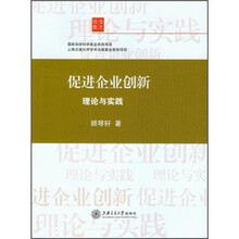 促进企业创新：理论与实践