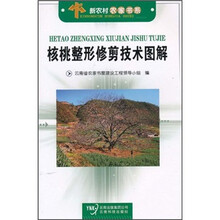 核桃整形修剪技术图解