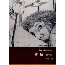 高等院校美术专业系列教材:素描(第3版)(附光盘)
