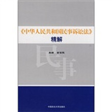 《中华人民共和国民事诉讼法》精解