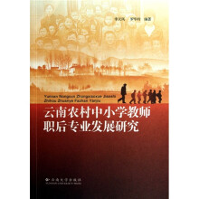 云南农村中小学教师职后专业发展研究