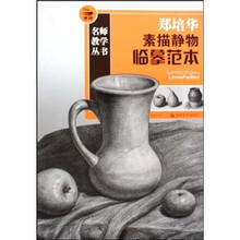 郑培华素描静物临摹范本