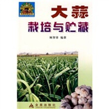 大蒜栽培与贮藏