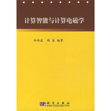 计算智能与计算电磁学