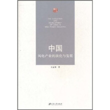 中国风电产业的演化与发展