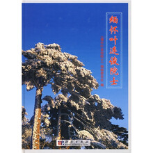 缅怀叶连俊院士