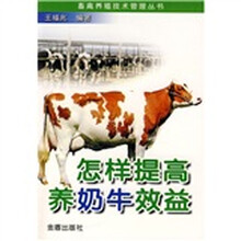 怎样提高养奶牛效益