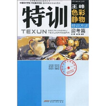 名师授艺新概念系列丛书·规范经典教程迎考美术教材:王峰色彩静物特训方法(迎考篇)