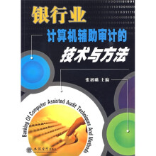 银行业计算机辅助审计的技术与方法