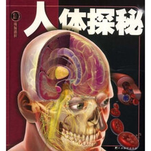 权威探秘百科：人体探秘