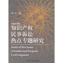 知识产权民事诉讼热点专题研究（中英文对照）