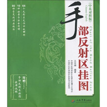 手部反射区挂图（中英对照版）