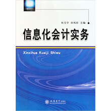 信息化会计实务