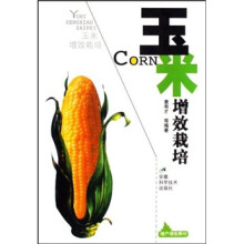玉米增效栽培