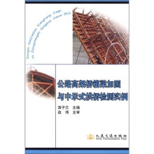 公路高架桥箱梁加固与中承式拱桥检测实例