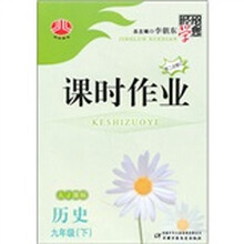 课时作业:历史9年级(下)(人J国标)