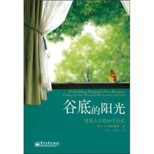 谷底的阳光：改变人生的10个公式