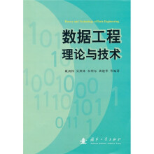 数据工程理论与技术
