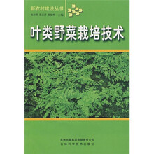 叶类野菜栽培技术