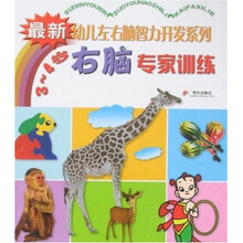 最新幼儿左右脑智力开发系列：右脑专家训练（3-4岁）