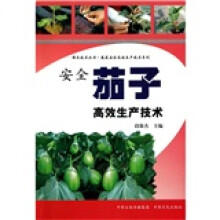 安全茄子高效生产技术