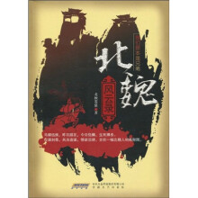 北魏风云录