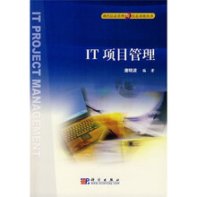 IT项目管理