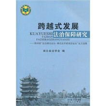 跨越式发展法治保障研究