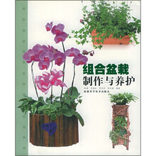 组合盆栽制作与养护