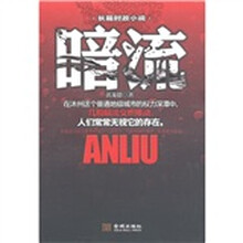 长篇时征小说：暗流