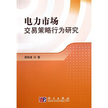 电力市场交易策略行为研究