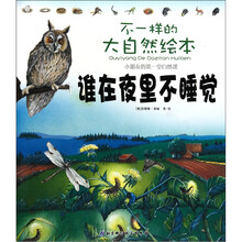 不一样的大自然绘本：谁在夜里不睡觉