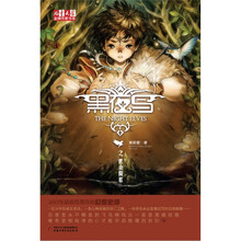 黑夜鸟之黑夜陨歌/儿童文学金牌作家书系