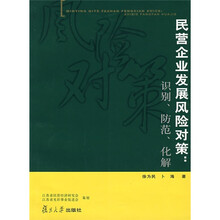 民营企业发展风险对策：识别、防范、化解