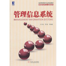 经济管理类专业规划教材·管理科学与工程系列：管理信息系统