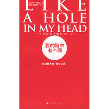 我的脑中有个洞：一个英国记者的网络日志