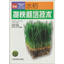 水稻抛秧栽培技术